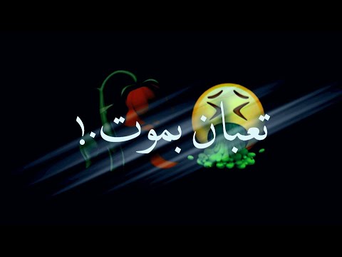 افجر حالات واتس اب مهرجانات عصام صاصا2021 انا زاد جوايا السكوت لكن تعبان ياناس بموت شاشه سوداء لسه