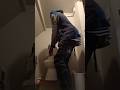 When you can't hold it anymore #shorts #bathroom #pooping
