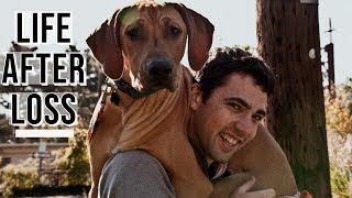 How Do You Get Over Losing Your Dog? by Marking Our Territory 25,595 views 4 years ago 3 minutes, 57 seconds