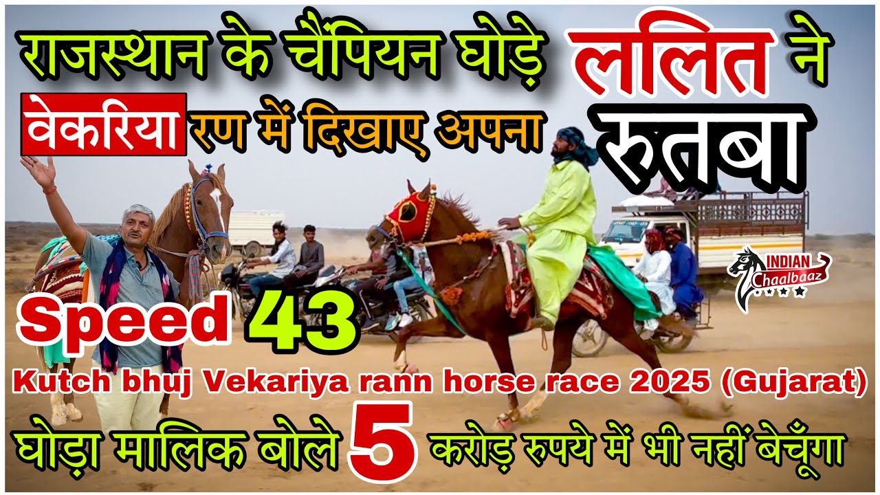 चैंपियन घोड़े ललित ने Kutch bhuj race 2025 में दिखाया अपना रुतबा दौड़ने की Speed है 43km