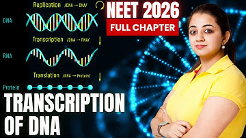 DNA Transcription | Transcription in Prokaryotes & Eukaryotes | Transcription DNA to mRNA, NEET 2026