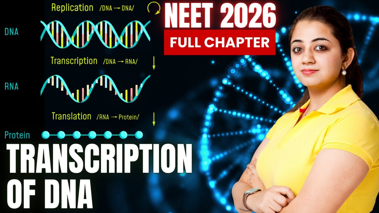 DNA Transcription | Transcription in Prokaryotes & Eukaryotes | Transcription DNA to mRNA, NEET 2026