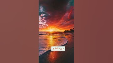 سورة الطلاق  الشيخ رعد الكردي ❤❤