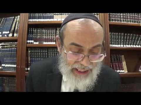 Bekhorot 11b - Youtube