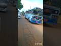 පරවි කිරිල්ලි ට සබ් එකක් දෙන්න