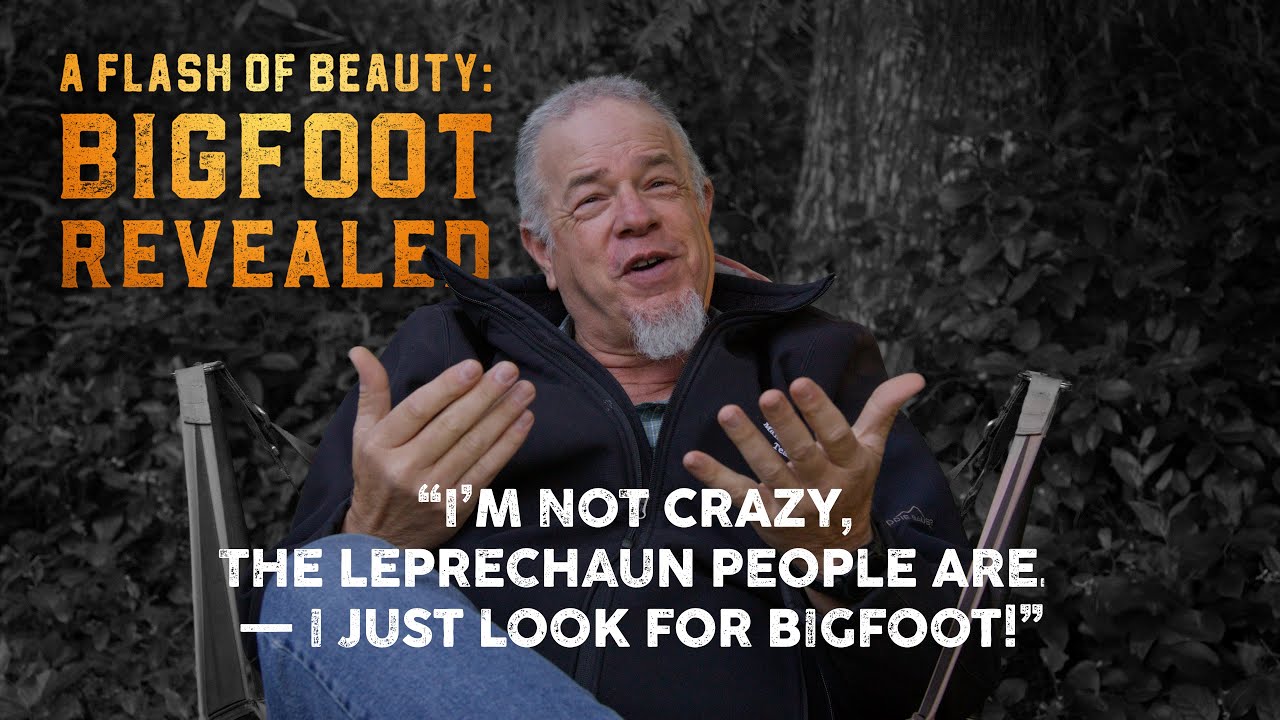 A Flash of Beauty: Kipp Morrill