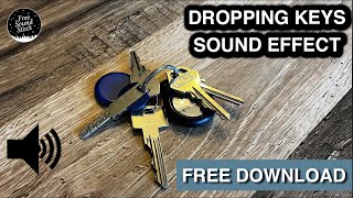 Dropping Keys Sound Effect