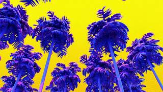 Salt Water Dreams (Cayman Mix) 🌴 | Chill Electronic Trance for Relaxation, Focus & Sunset Drives