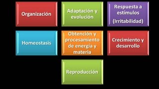 Características de los seres vivos