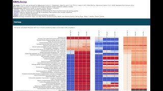 Full SbmlComp: interpretation of analysis report and algorithm explanation News