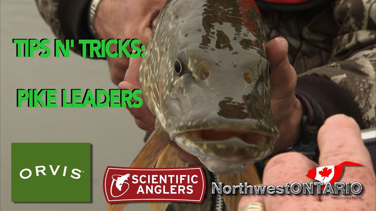 TIPS N TRICKS Pike Leaders YouTube