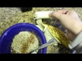 End of video