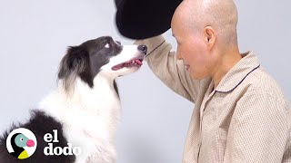 Perro espera meses a que mamá regrese del hospital | El Dodo by El Dodo 1,533,382 views 5 months ago 3 minutes, 3 seconds