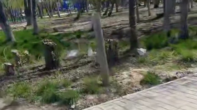 Кунилингусты қалай жасауға болады