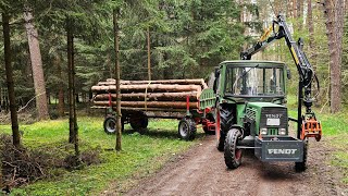 Fendt 200S | Holz fahren | Forstkran | Rungenwagen | Brennholz | Fixlängen #42