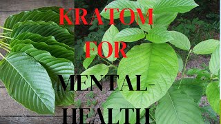Kratom for Mental Health