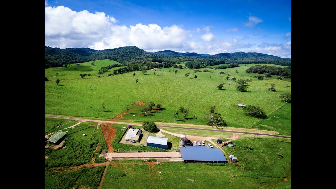 Ravenshoe Dairy Farm YouTube