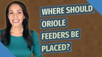 Where should Oriole feeders be placed?