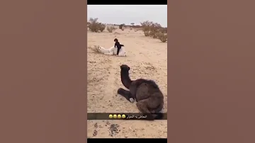 انحاشت به الناقه الطفل 