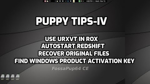 Puppy LInux Tips-IV:  random tips on how to use Puppy, using F96-CE4.iso