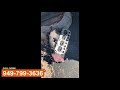 Forklift Oil Change & Repair