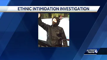 Ethnic intimidation investigation