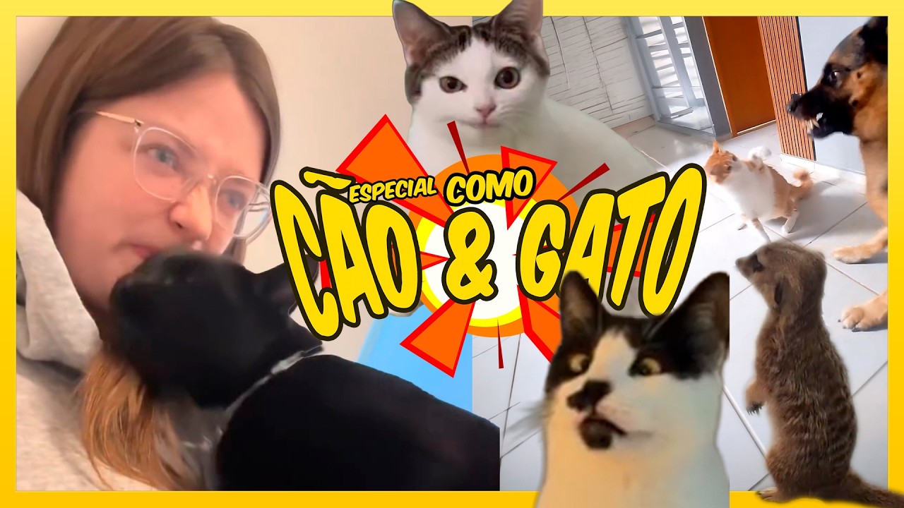 ESPECIAL: COMO CÃO & GATO! 😂 TENTE NÃO RIR 2025‼️
