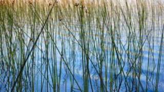 Video thumbnail of "Liquid Moon Lisa Gerrard & Pieter Bourke"