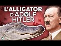 Saturne, l’alligator d'Adolf Hitler !
