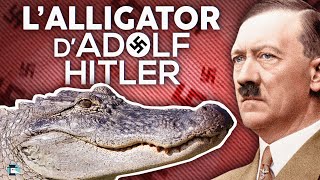 Saturne, l’alligator d'Adolf Hitler !