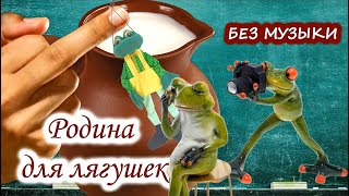 Без музыки. Родина для лягушек