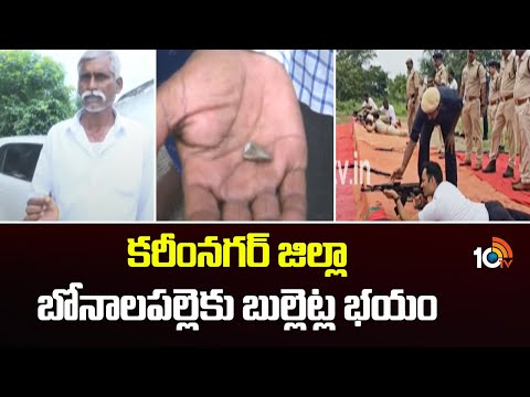 Special Story On Bonalapalle Village | కరీంనగర్ జిల్లా బోనాలపల్లె‌కు బుల్లెట్ల భయం | 10TV - 10TVNEWSTELUGU