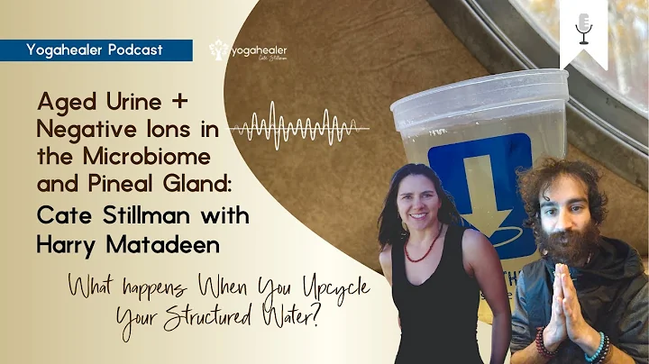 Aged Urine + Negative Ions in the Microbiome and P...