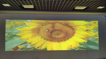 Laser Projector| Laser vs Lamp Projectors in Large Venue Projectors