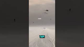 Disuruh Nyingkir Malah Lari 