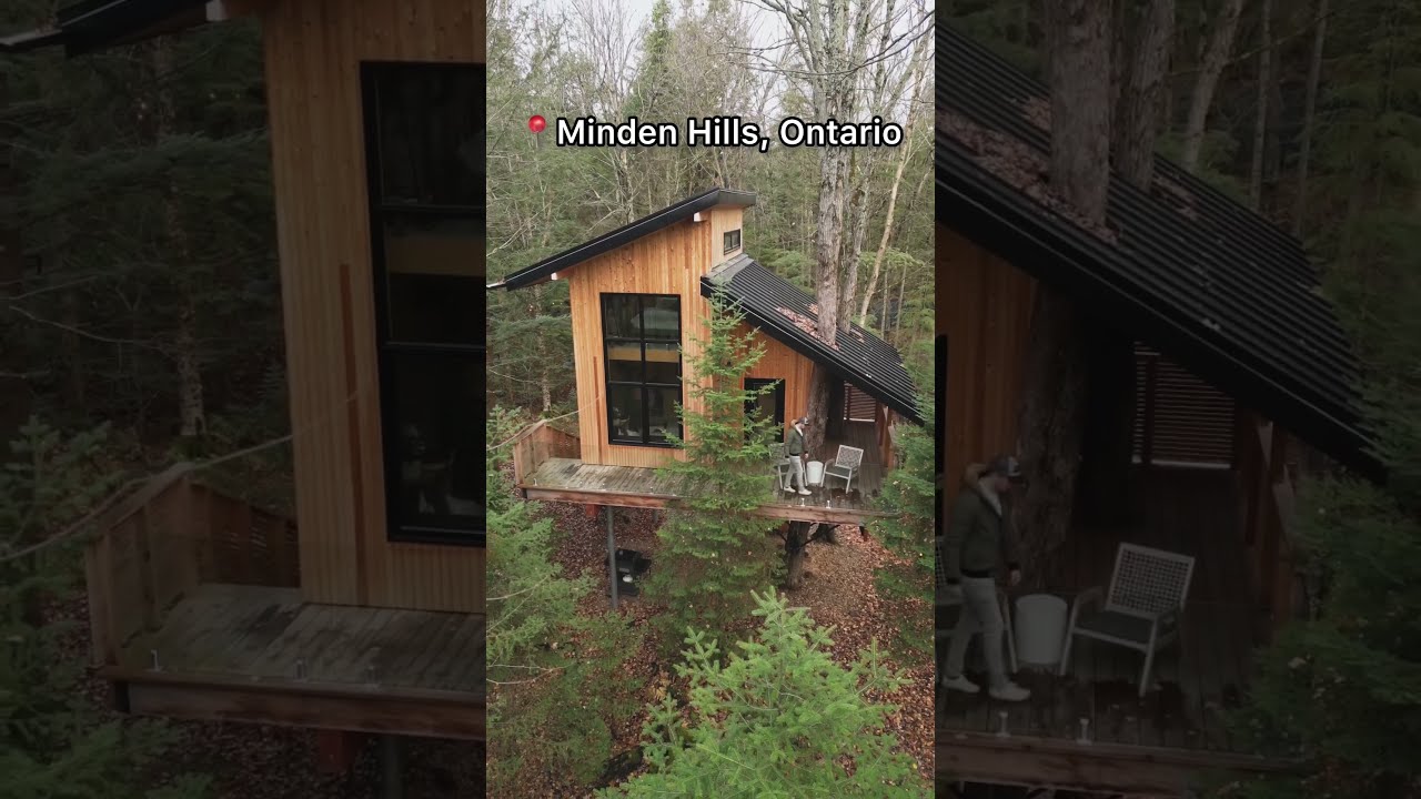 Off Grid Sustainable Luxury Tiny Home Treehouse Airbnb 