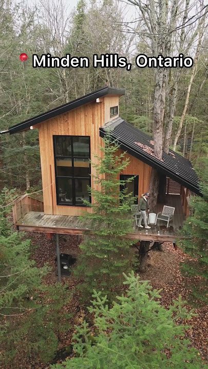 Off-Grid & Sustainable Luxury Tiny Home Treehouse Airbnb!