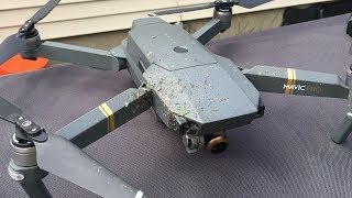 DJI Mavic Pro Drone Cuts Hornet Nest In Half