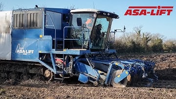 Parsnip harvesting in challenging soil conditions | ASA-LIFT CR-400