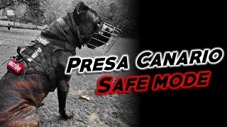 Presa Canario Safe Mode