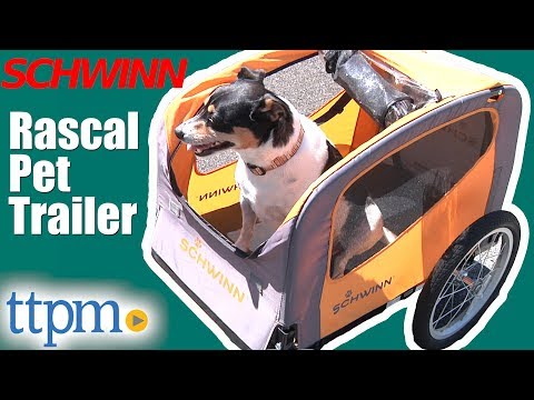 rascal pet trailer