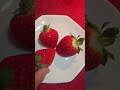 The most beautiful strawberry's #shorts #strawberry #fruits #easyfood