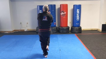 Pyong Ahn O Dahn - Advanced Form 5