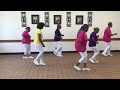 Stepping Out line dance (Keep Moving Line Dancers) Houston, Tx