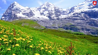 Jungfrau Top of Europe Switzerland 🇨🇭 Eiger, Mönch and Jungfrau Mountains | #swiss