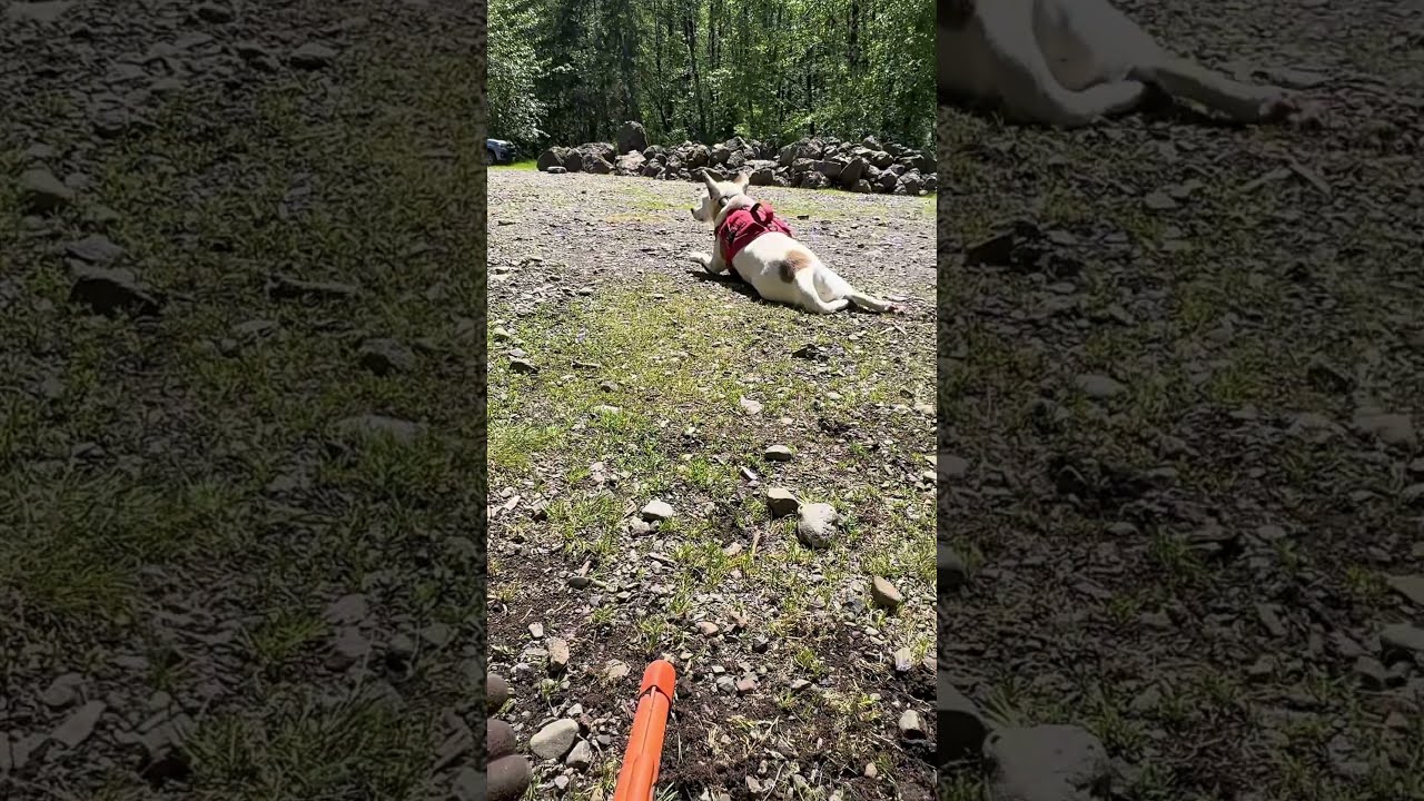 My Protector Environmentalcleanup Metaldetecing