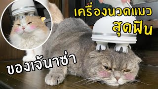 เครื่องนวดแมวสุดฟินของเจ้นาซ่า