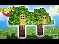 Minecraft: How to Build a 2 Players House in a Tree - Live Inside a Tree! Tutorial