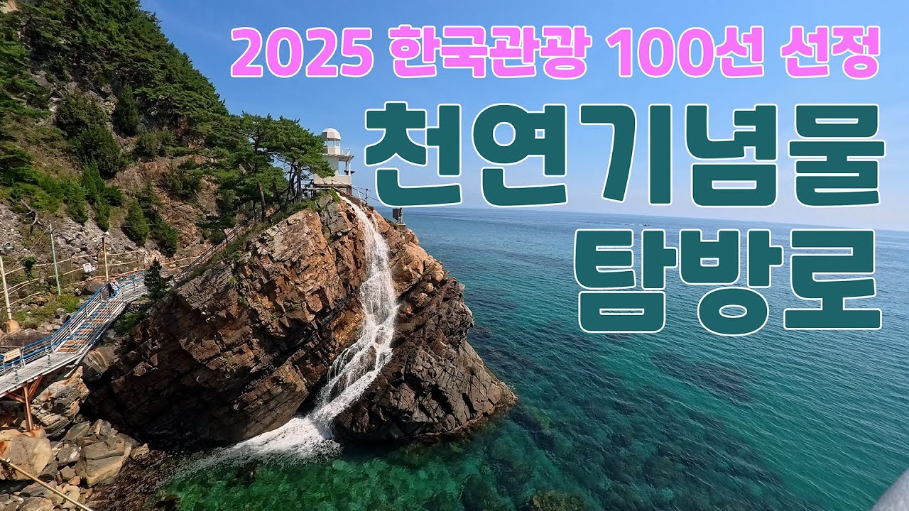 2025 한국관광 100선에 선정된 천연기념물 탐방로, 640m는 무장애 탐방로예요. | 대중교통 당일치기 여행 | 걷기 중독자의 지구 일주