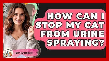 How Can I Stop My Cat From Urine Spraying? - Happy Cat Handbook